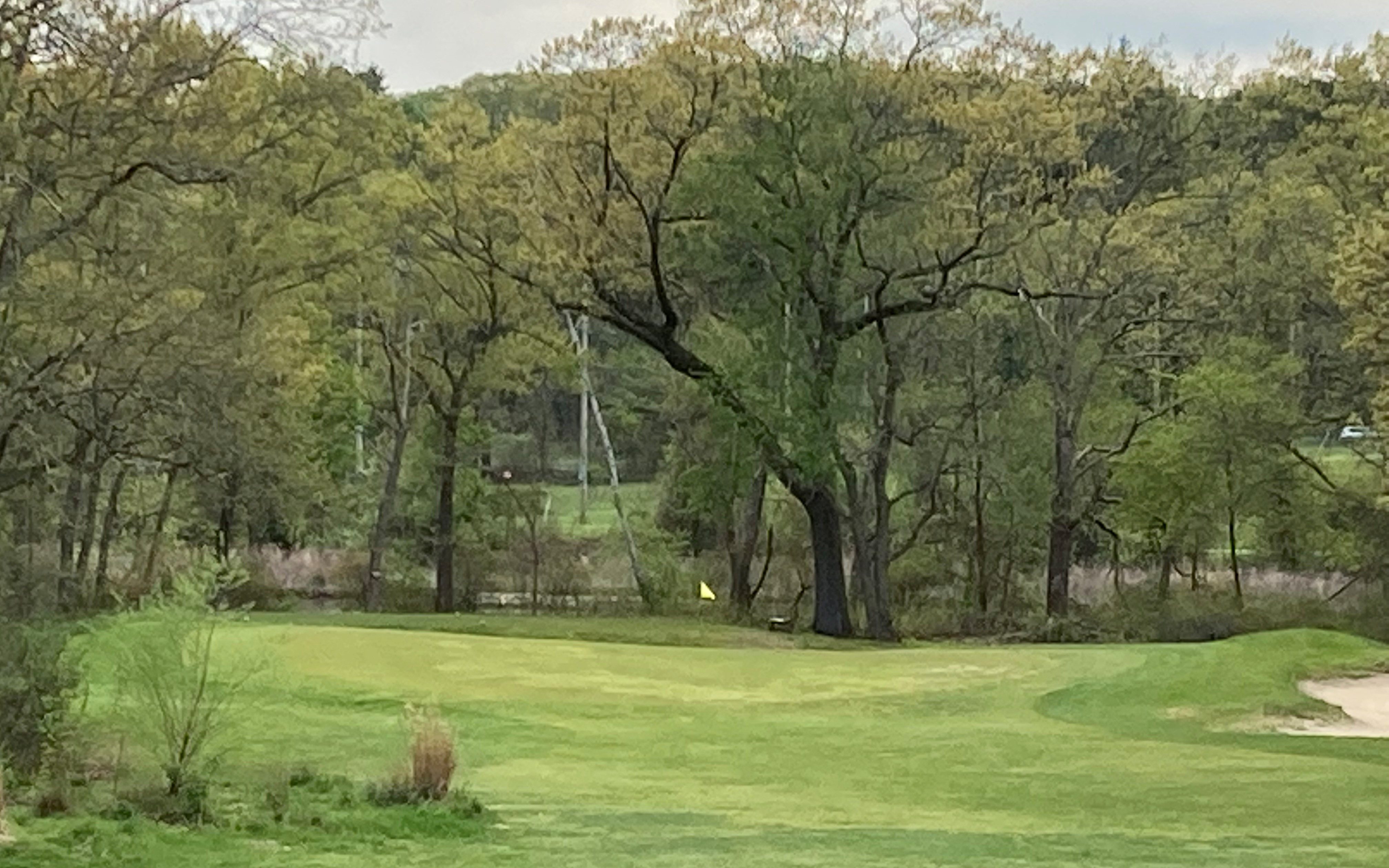 green at Leo J Martin golf course